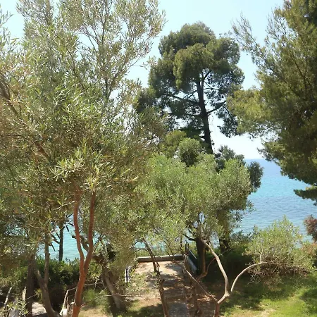 Seafront Loft In Akti